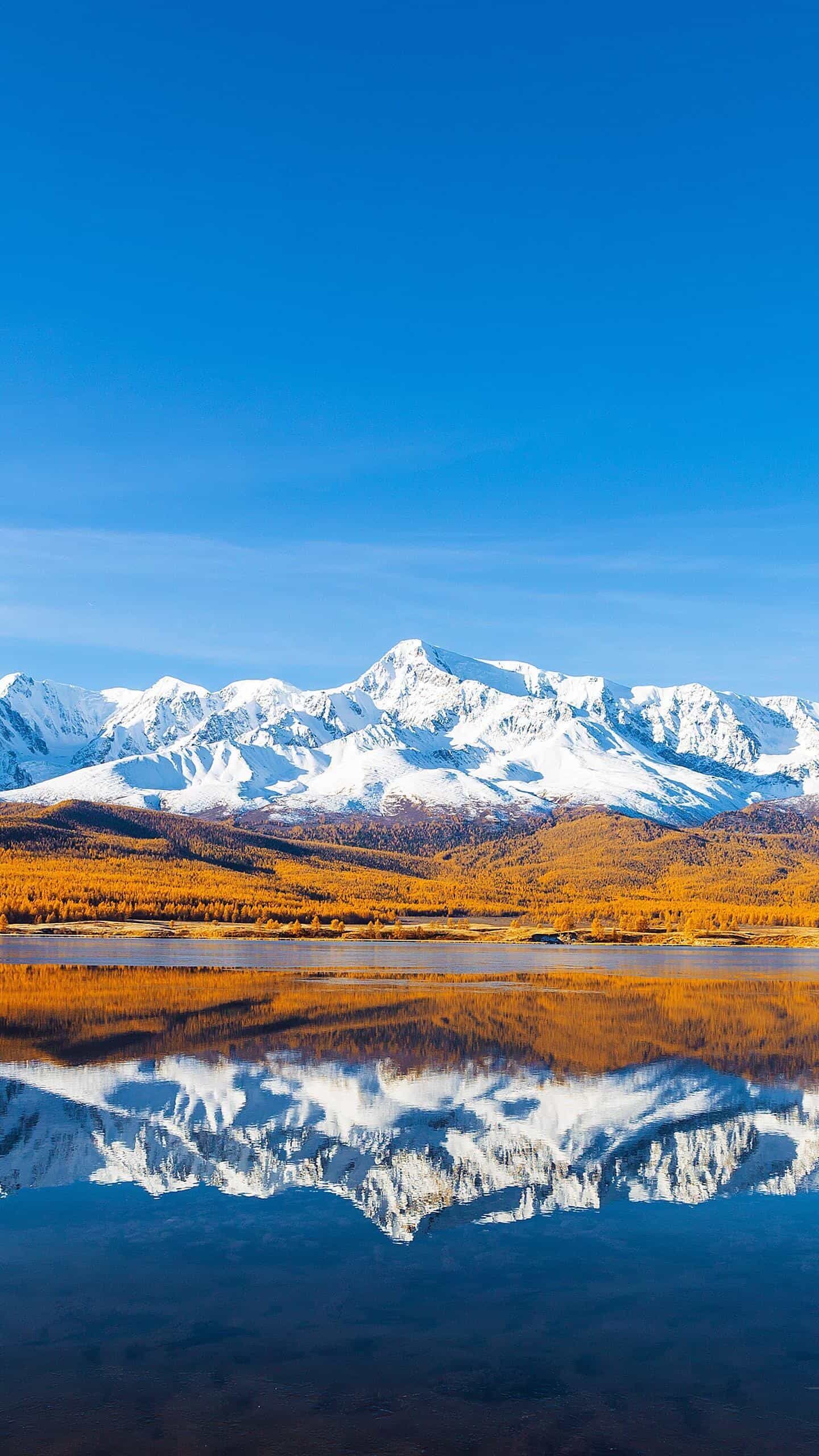 《防火墙的“后门”：揭秘服务器白名单的隐秘突破点》